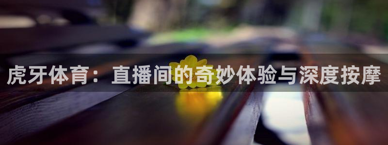 体育新闻