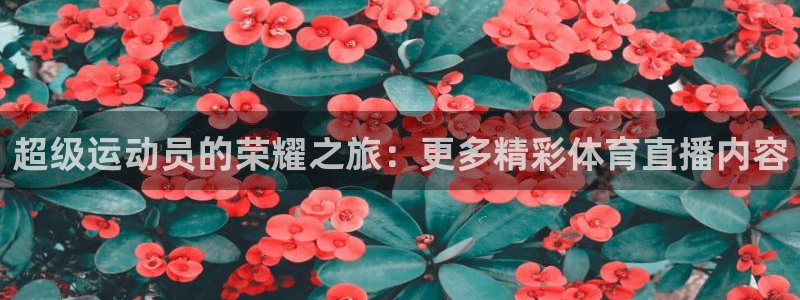 体育新闻